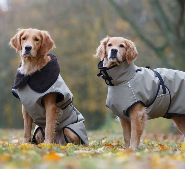 Hallo Zichtbaar Wijzer Active Cape Plus honden jas | Hondenvesten en jassen | Mets Jachthuis