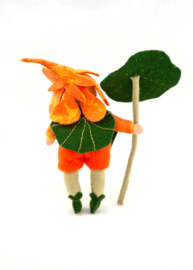 Oost Indische Kers popje
