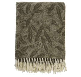 Fruit fine  merino-  & cashmerewool sage