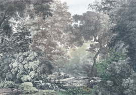 FAIRYTALE FOREST FOTOBEHANG - Komar RAW R4-060 (400 x 280 cm)