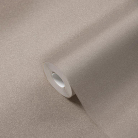 BEIGE BRUIN MAT STRUCTUUR BEHANG - AS Creation Jade 2 375552