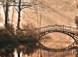 PARK MET BRUG FOTOBEHANG - AS Creation DesignWalls DD118624