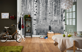 WOODS FOTOBEHANG - Komar XXL4-023