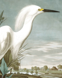 Behangpaneel Snowy Heron "John James Audubon (1785-1851)" - KEK Amsterdam Wonderwalls PA-009