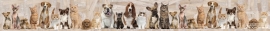 HONDEN-KATTEN BEHANGRAND - Noordwand Farm Life 3750028