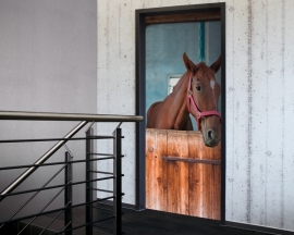 Fotobehang Deur 020021