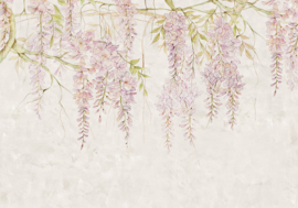 WISTERIA FOTOBEHANG - Komar RAW R4-050 (400 x 280 cm)