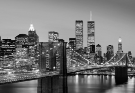 Fotobehang 00138 Manhattan Skyline at Night