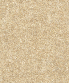 BEIGE BETONLOOK BEHANG - Rasch Vincenza 467581 ✿✿✿