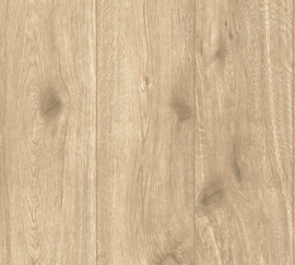 HOUTEN PLANKEN BEHANG - AS Creation Elements 2 300434