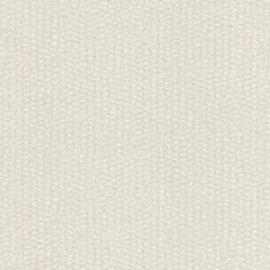 MODERN CREME ZILVER BEHANG - Rasch Textil ABACA 229317