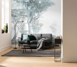 MAGIC TREES FOTOBEHANG - Komar RAW R3-023 (300 x 280 cm)