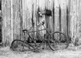 OUDE FIETS FOTOBEHANG - Noordwand Farm Life 3750016