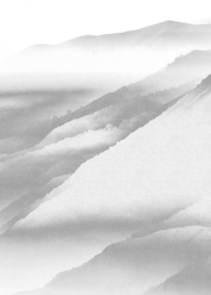 WHITE NOISE MOUNTAIN FOTOBEHANG - Komar RAW R2-010 (200 x 280 cm)