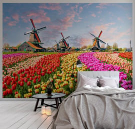 MOLENS EN TULPEN FOTOBEHANG - AS Creation DesignWalls DD118694