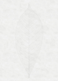 DECENT LEAF FOTOBEHANG - Komar RAW R2-012 (200 x 280 cm)