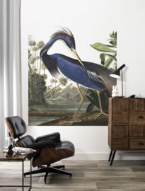 Behangpaneel Louisiana Heron "John James Audubon (1785-1851)" - KEK Amsterdam Wonderwalls PA-011