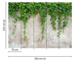 BETONMUUR MET KLIMPLANT FOTOBEHANG - AS Creation DesignWalls DD118712