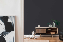 ZWART UNI BEHANG - AS Creation Björn 349330