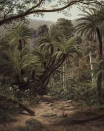 Behangpaneel Palm Trees "Eugene von Guérard (1852-1882)" - KEK Amsterdam Wonderwalls PA-014