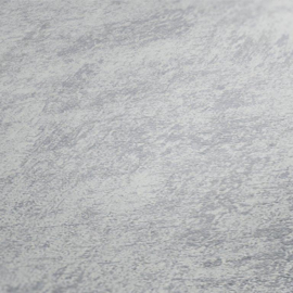 GRIJS BETONLOOK BEHANG - AS Creation Jade 2 224033