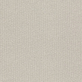 MODERN CREME ZILVER BEHANG - Rasch Textil ABACA 229324