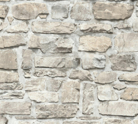 GRIJS BEIGE BEHANG - AS Creation Elements 2 363702