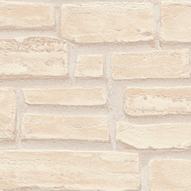 BEIGE STENEN BEHANG - AS Creation Best of Wood'n Stone 2 6623-23