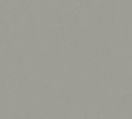 BEIGE TAUPE BEHANG - AS Creation Metropolitan Stories 368995