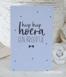 Kaartje mini, Hoera een broertje