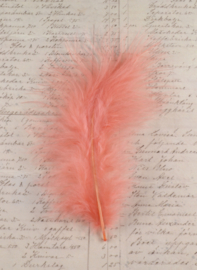 Veertje coral pink