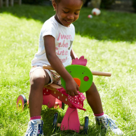 (Dushi) Houten loopfiets "Chick de kip"