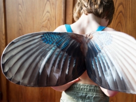 (Spread your little wings) Vogelvleugels "Jay" 65 cm