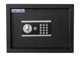 Domestic safe DS2535E