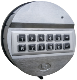 Pulse Chrome Button
