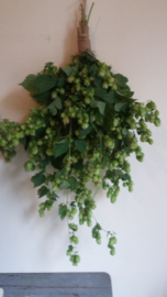 Hoptoef