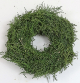 Asparagus krans (35 cm)