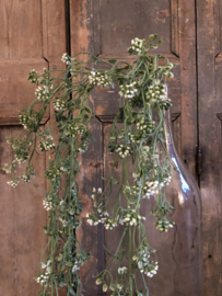 Hanger strellaria wit 85 cm