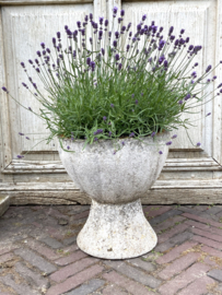 Gardenplanter on foot