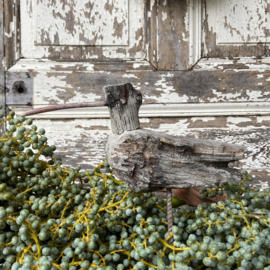 Wooden bird decoy