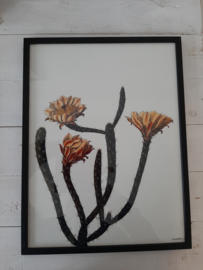 Vanilla Fly | Fotoprint in lijst  30 x 40 cm | Plant