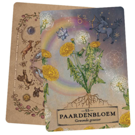 Het Kruiden Astrologie Orakel | Adriana Ayales | Orakelkaarten deck