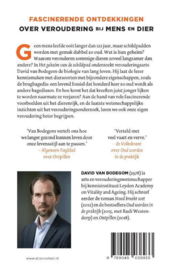 Het geheim van de schildpad | David van Bodegom