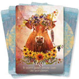Boodschappen van de dieren | Colette Baron Reid | Orakelkaarten deck