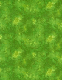 KIM-C6100-lime