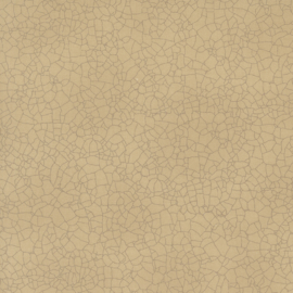 bloom and grow 5746 140
