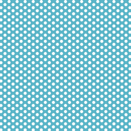 DV3043 Fundamentals 1/4 spot BARRIER BLUE