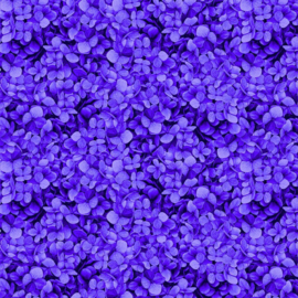 Midnight Bloom  CD 3387  purple