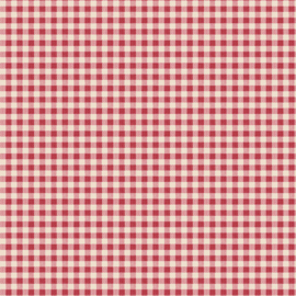 Creating memories 160087 gingham red