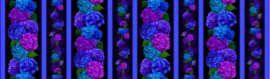 Midnight Bloom  CD 3382 Black